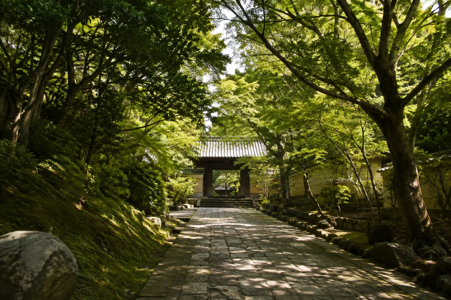 鎌倉の緑豊かな寺院